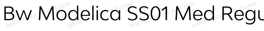 Bw Modelica SS01 Med Regular字体转换
